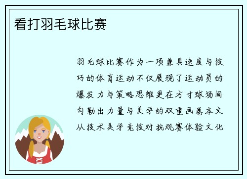 看打羽毛球比赛
