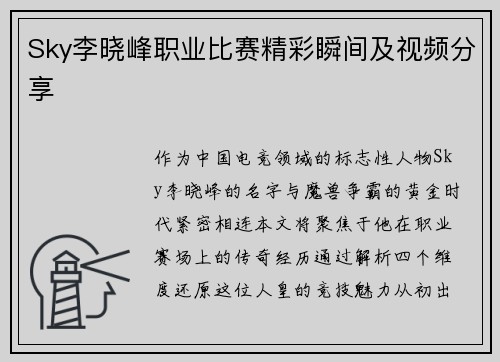 Sky李晓峰职业比赛精彩瞬间及视频分享