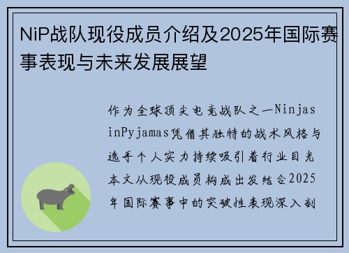 NiP战队现役成员介绍及2025年国际赛事表现与未来发展展望
