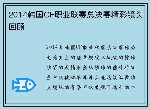 2014韩国CF职业联赛总决赛精彩镜头回顾