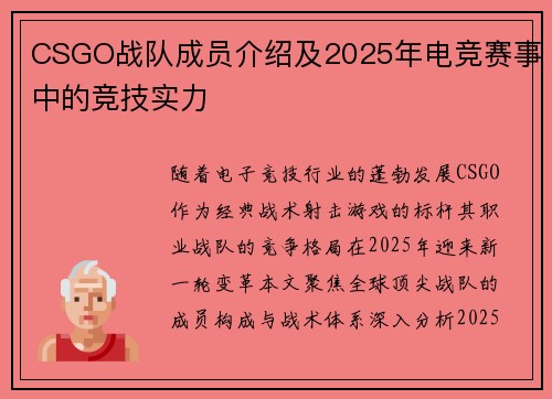 CSGO战队成员介绍及2025年电竞赛事中的竞技实力